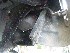 Inside Passenger side front fender
